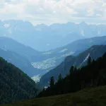 Maier