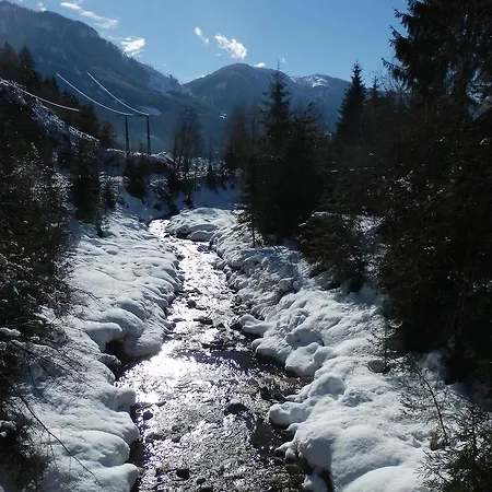 アパート Maier *